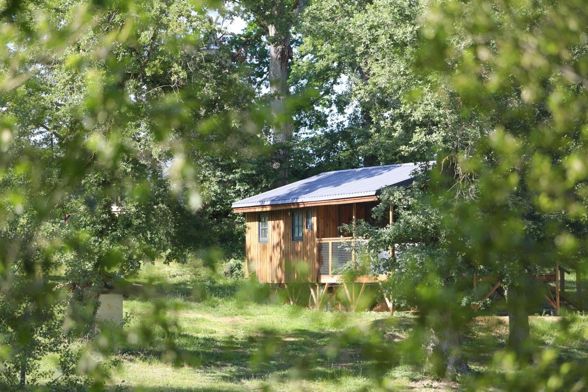 Whaka Lodge Seissan Exteriör bild